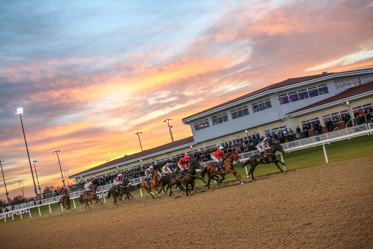 Watch Live Horse Racing From The Racing TV Stream