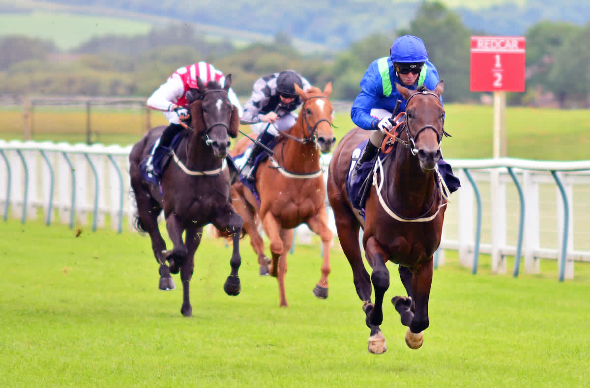 Horse racing tips for Tuesday Dave Nevison's best bets