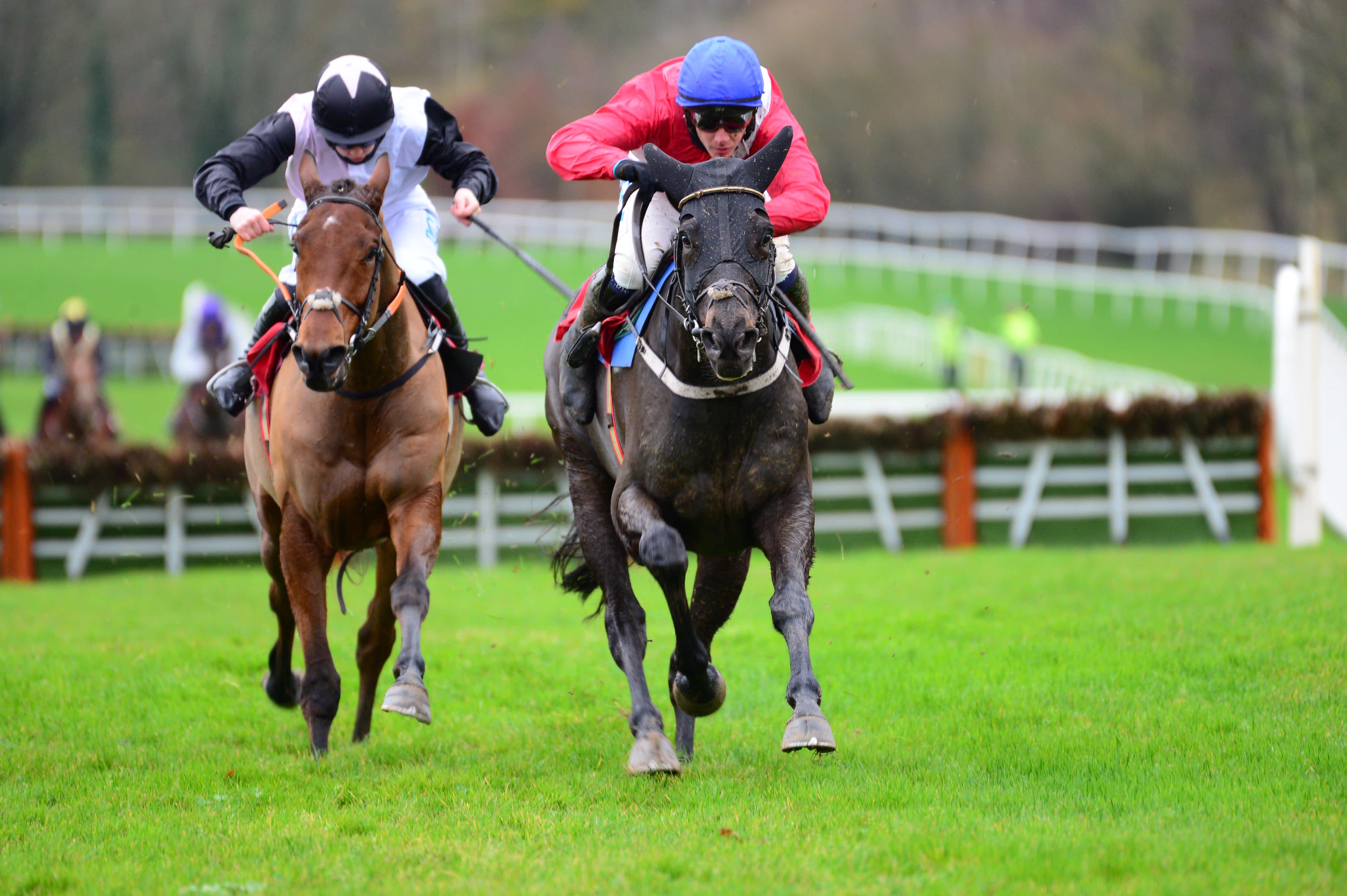 Handicappers jumps horses to follow, including one "under the radar"