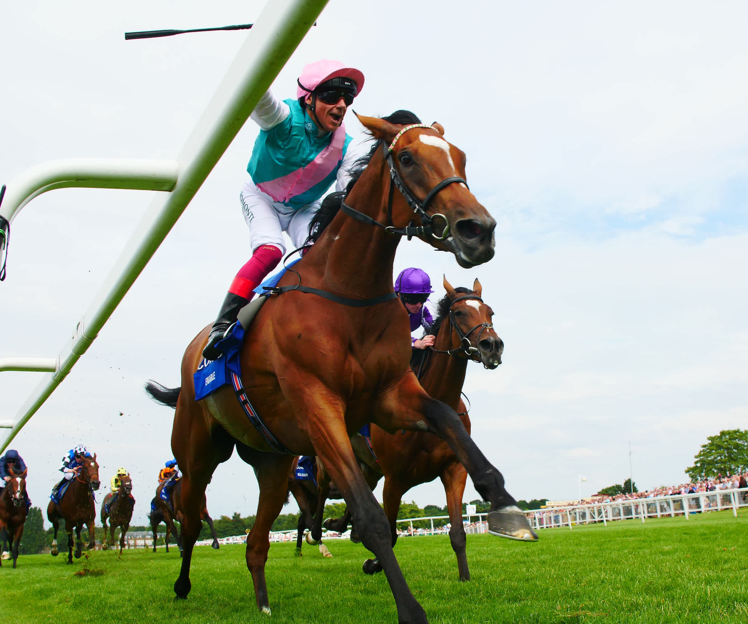 mighty-mare-enable-back-with-a-bang-as-she-lands-coral-eclipse