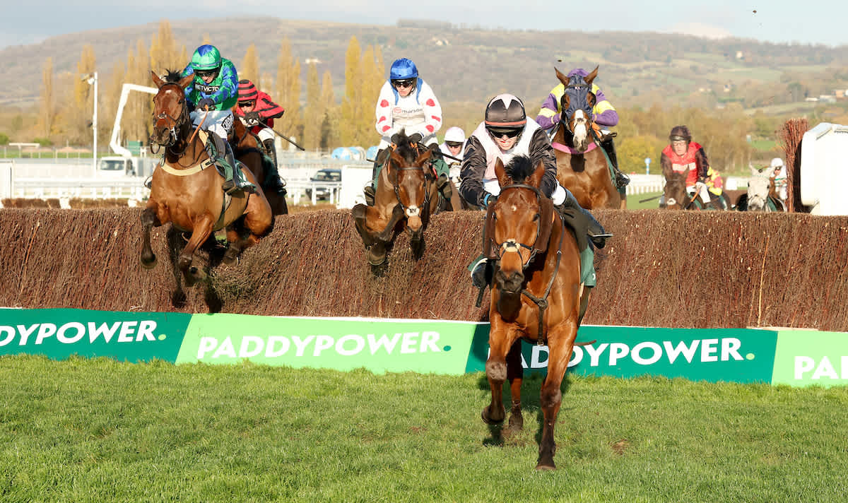 november-meeting-five-horses-to-follow-from-cheltenham