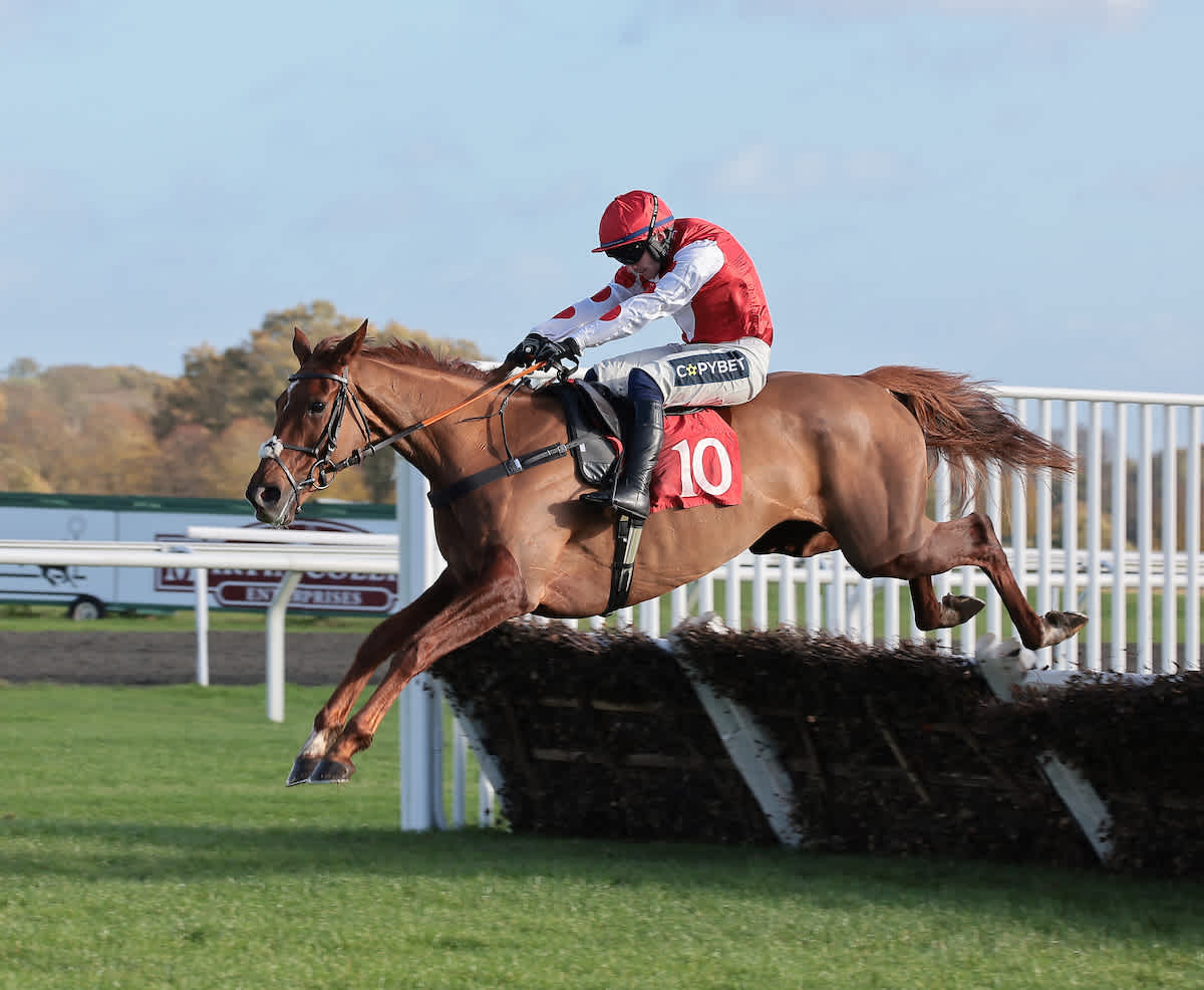 Kempton wrap: Queens Gamble begins road to Cheltenham
