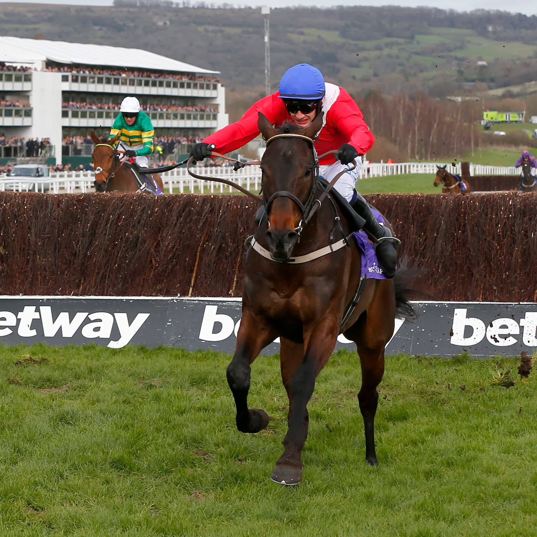 Cheltenham Festival Day Three racebyrace guide and Tote Placepot