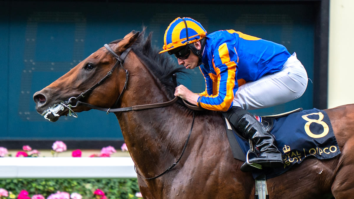 CoralEclipse how Emily Upjohn and Paddington measure up