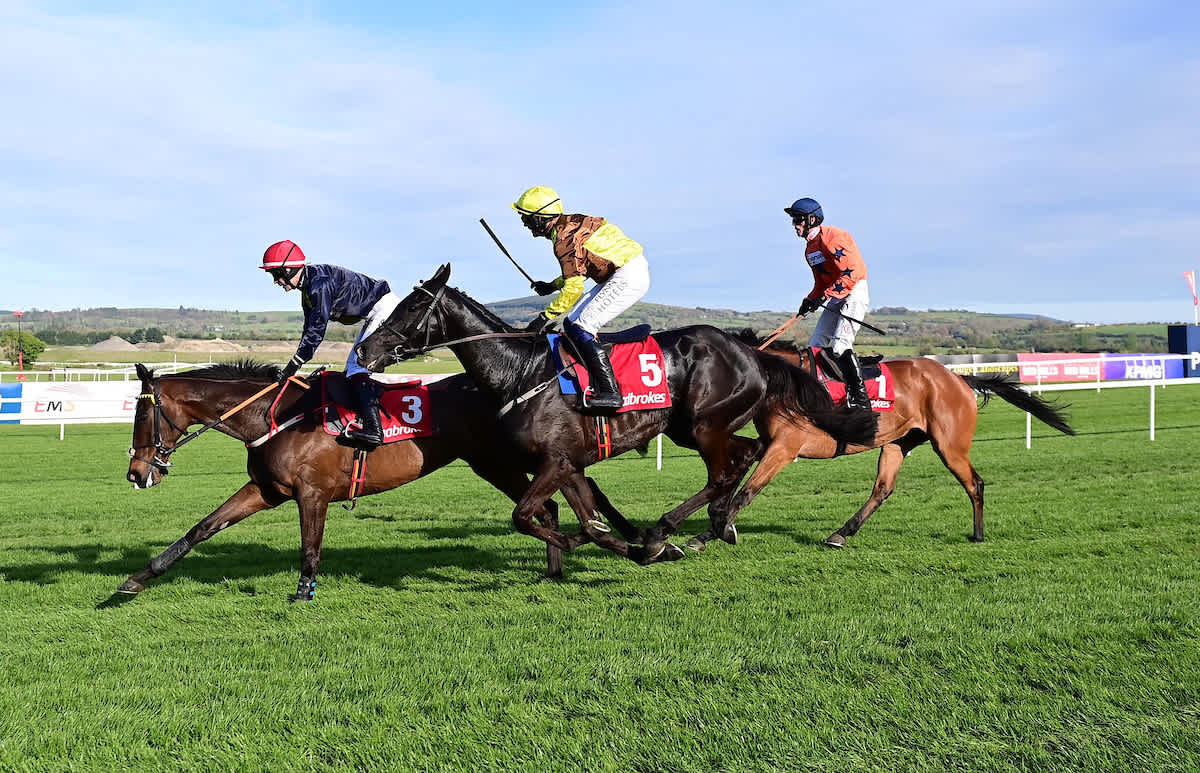 Fastorslow Stuns Galofotos Des Champs And Bravemansgame At Punchestown