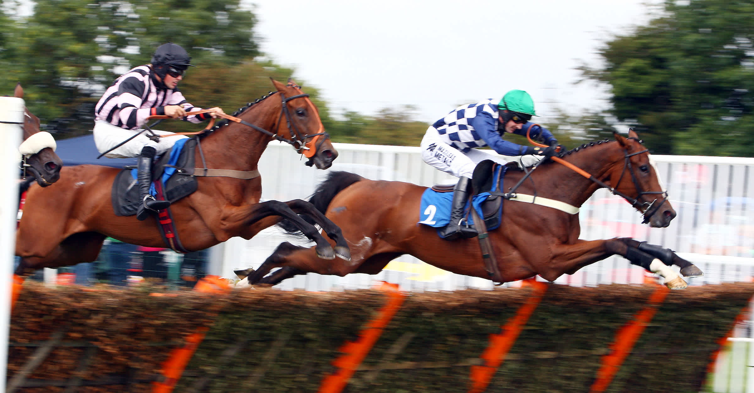 Dave Nevisons Expert Horse Racing Advice 3 Top Picks For Tuesdays Races - hhh5s83