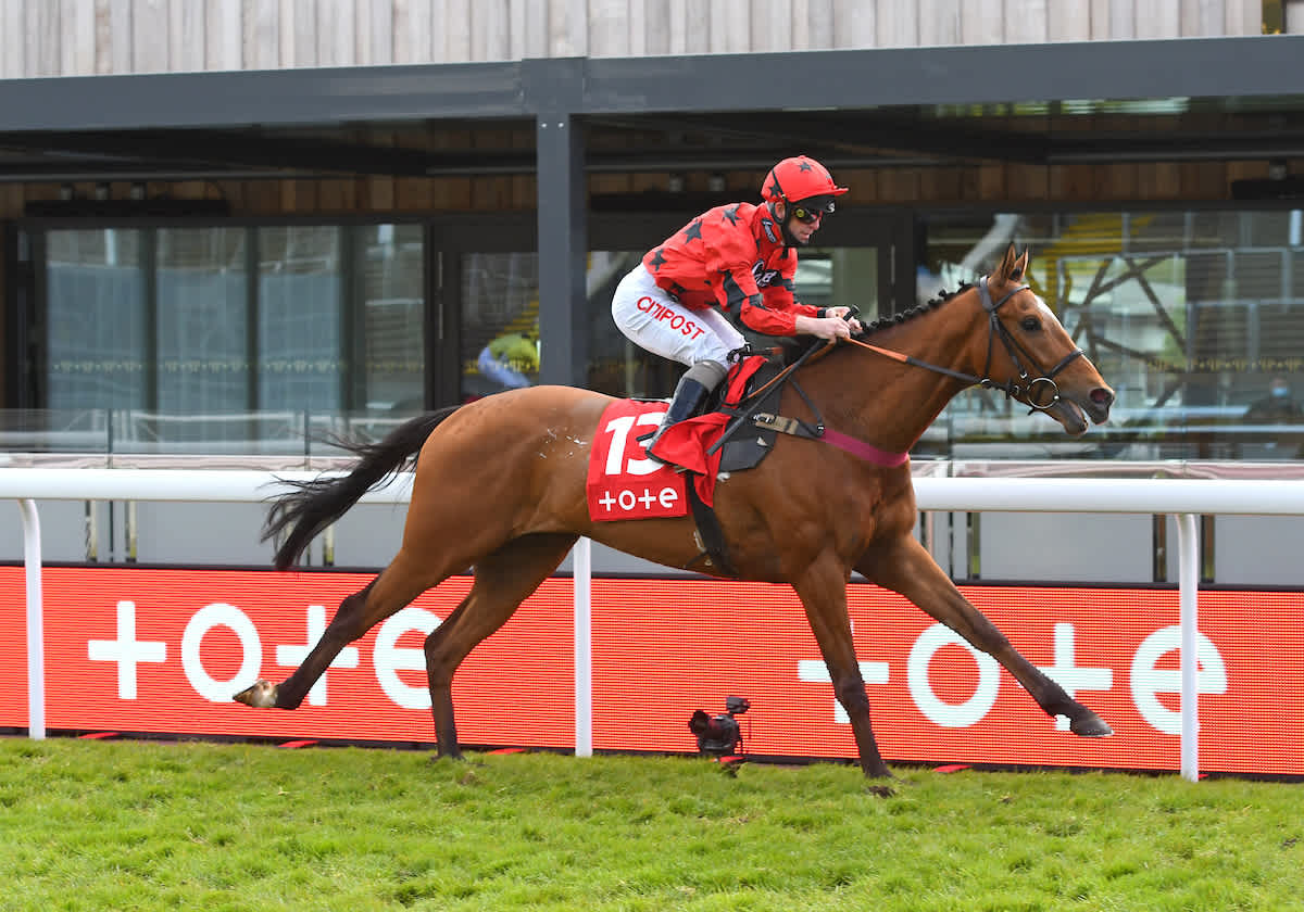 Dave Nevisons Expert Horse Racing Advice 3 Top Picks For Tuesdays Races - dw3rdvb