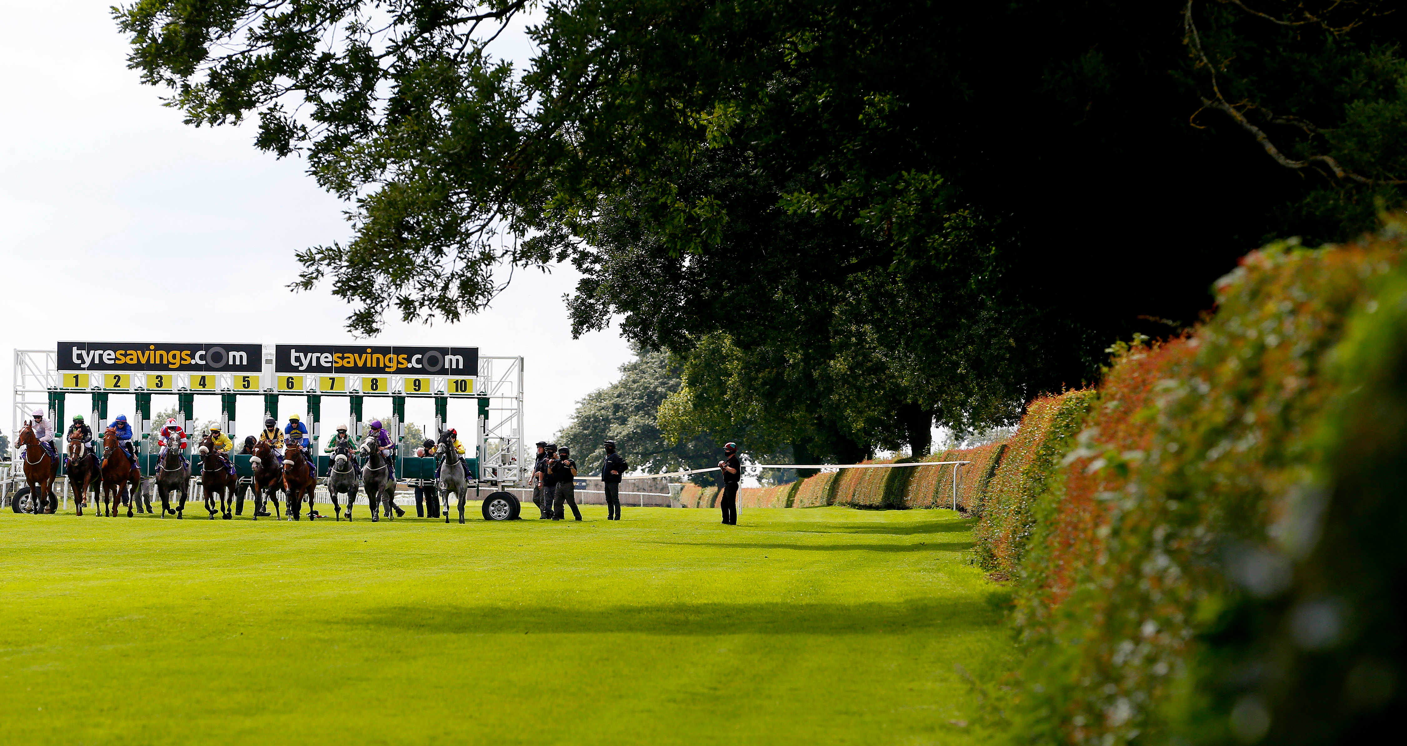 Exclusive: Dave Nevison'S 3 Top Secret Horse Racing Picks For Tuesday - ilqs2gi
