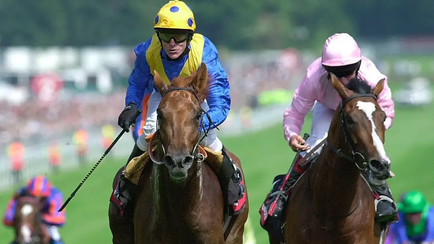  Kris Kin had to be supplemented for the Derby after being initially entered given various hiccups along the way (Photo: PA)