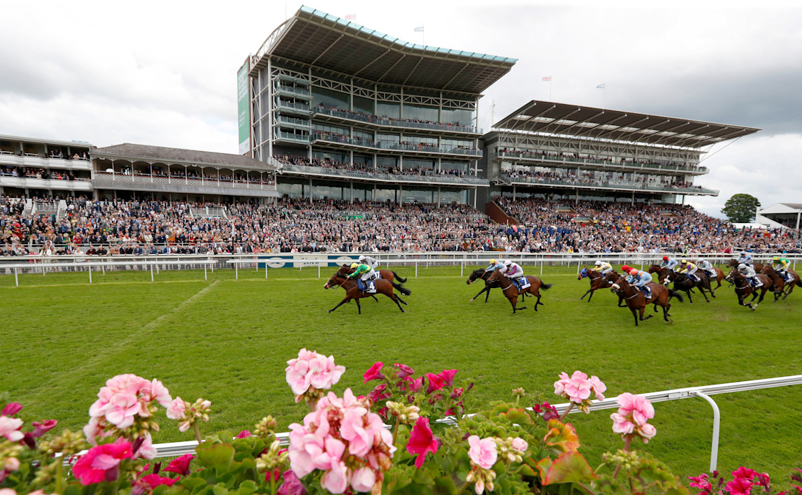 York Racecourse Today's Results & Betting