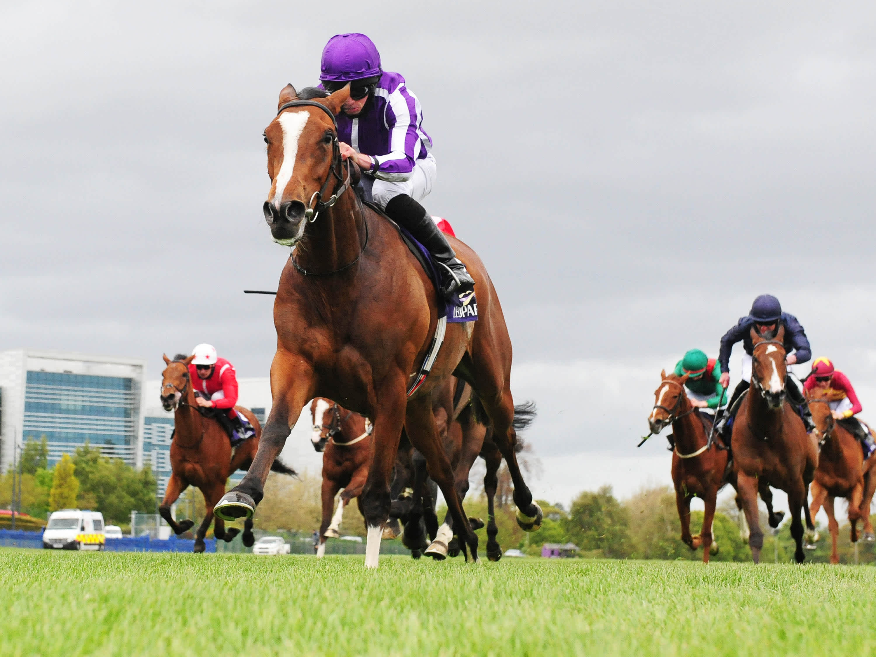 Joan Of Arc enters Irish Guineas picture with Leopardstown success - Vimarsana News