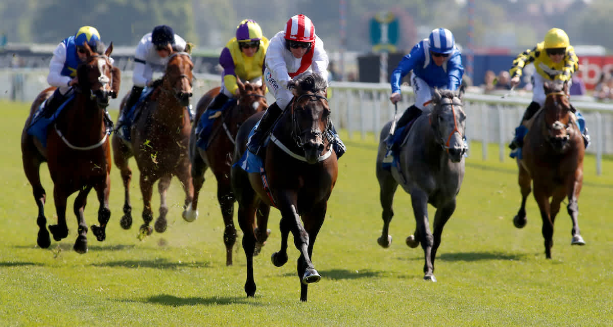 Dave Nevison: My four horse racing tips for Saturday