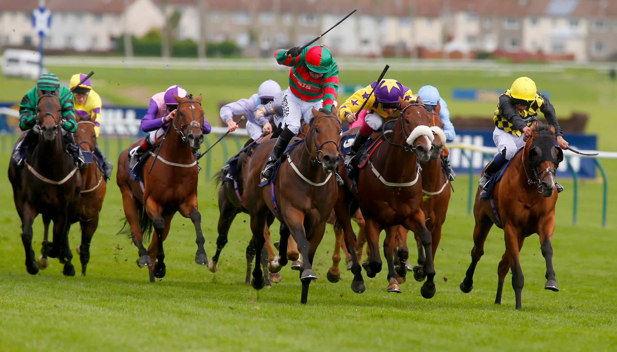 Ayr Gold Cup Five Contenders For Any Shortlist On Saturday ayr-gold-cup-five-contenders-for-any-shortlist-on-saturday