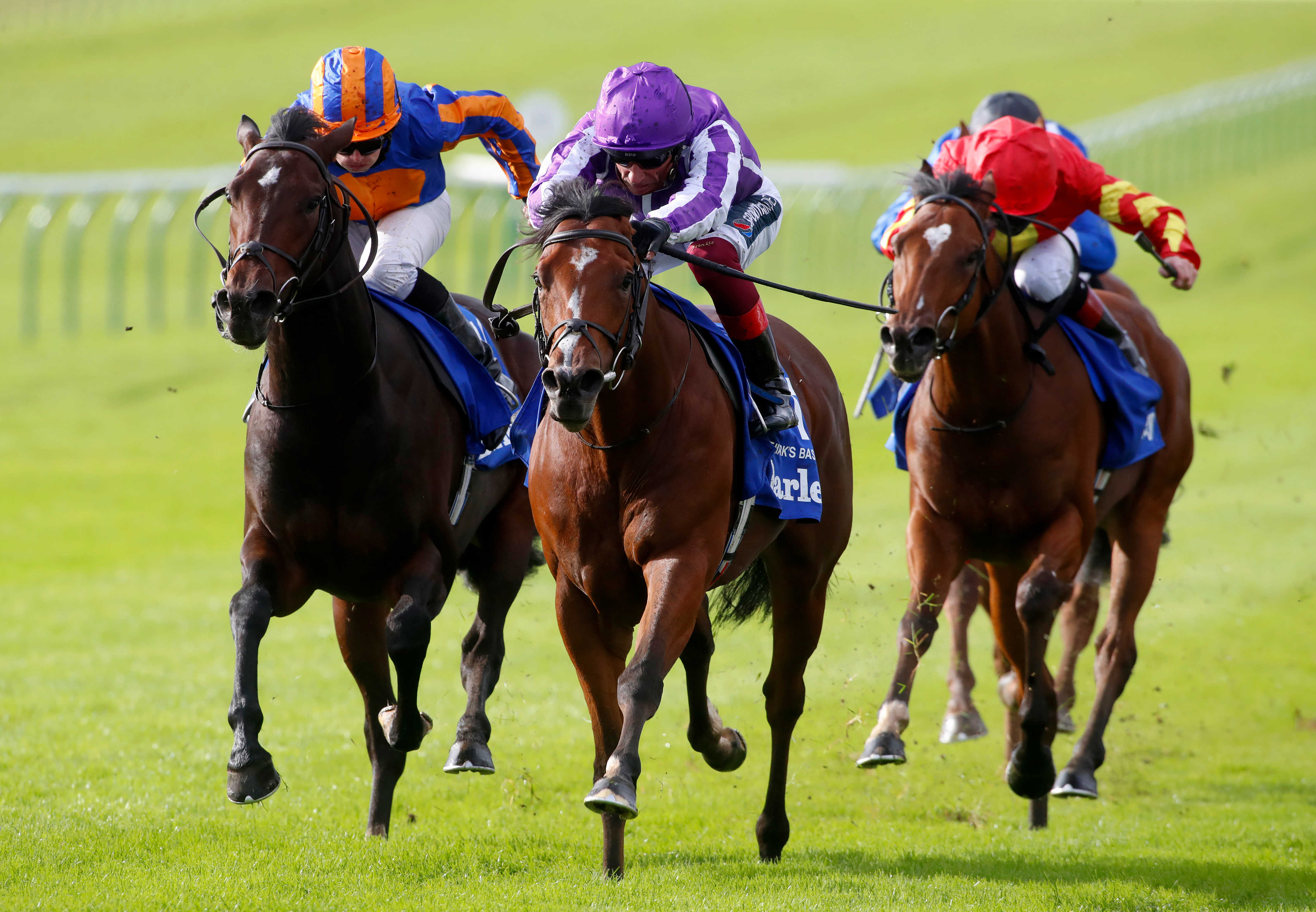 How To Bet £20 ante-post on the Qipco 2000 Guineas at Newmarket - Vimarsana News