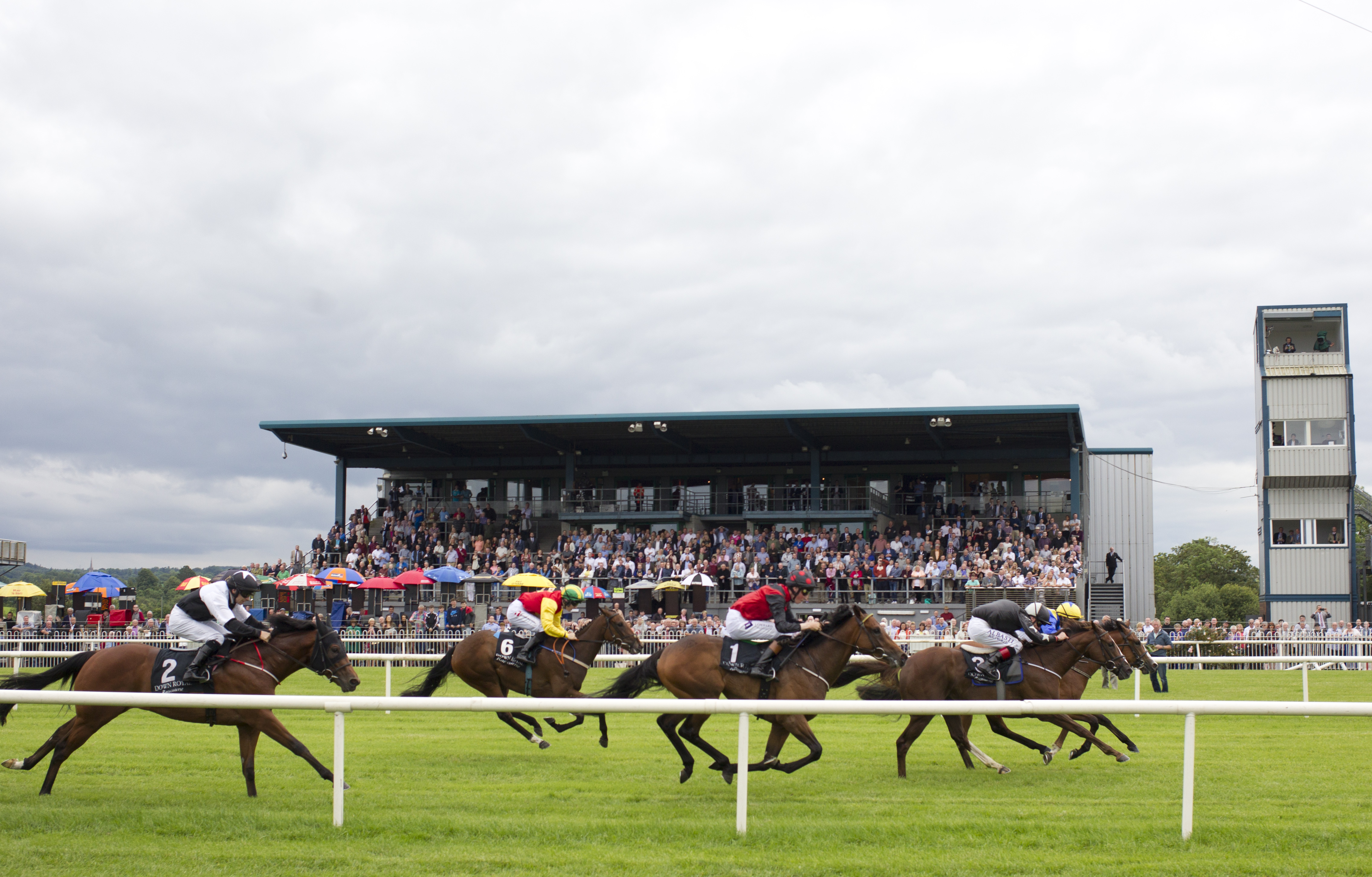 Watch Live Horse Racing From The Racing TV Stream