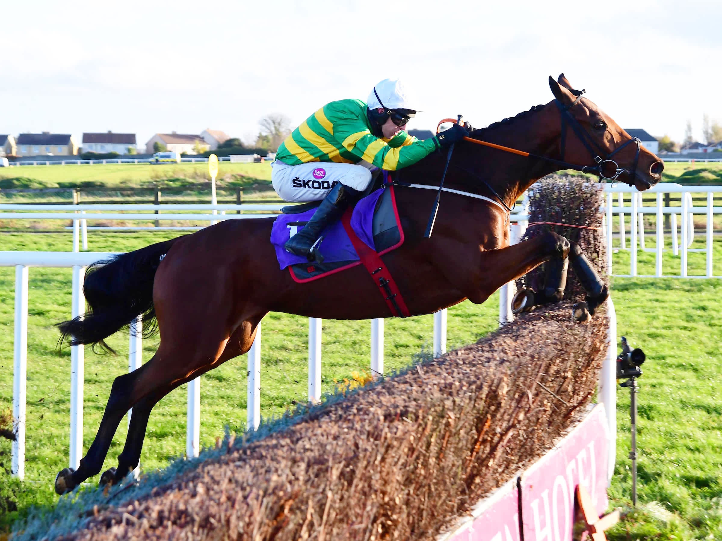 The 2023 Cheltenham Festival Placepot picks for day two