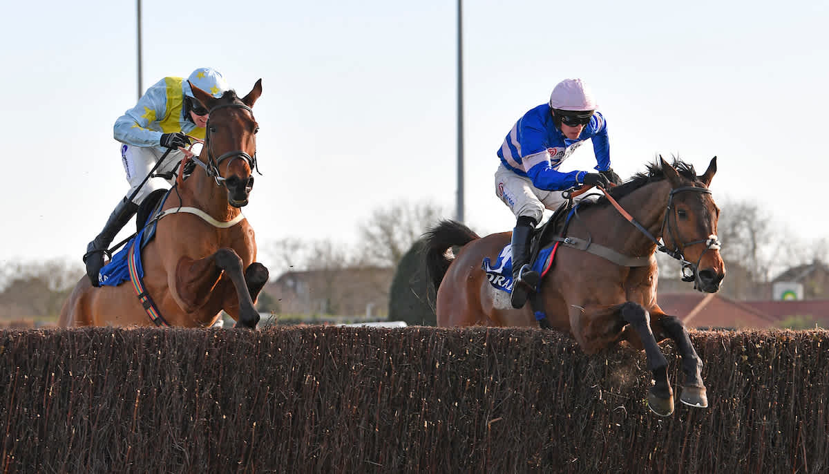 Horse racing tips for Friday Dave Nevison's best bets
