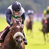 Featured Horse Racing News & Articles: Racing TV