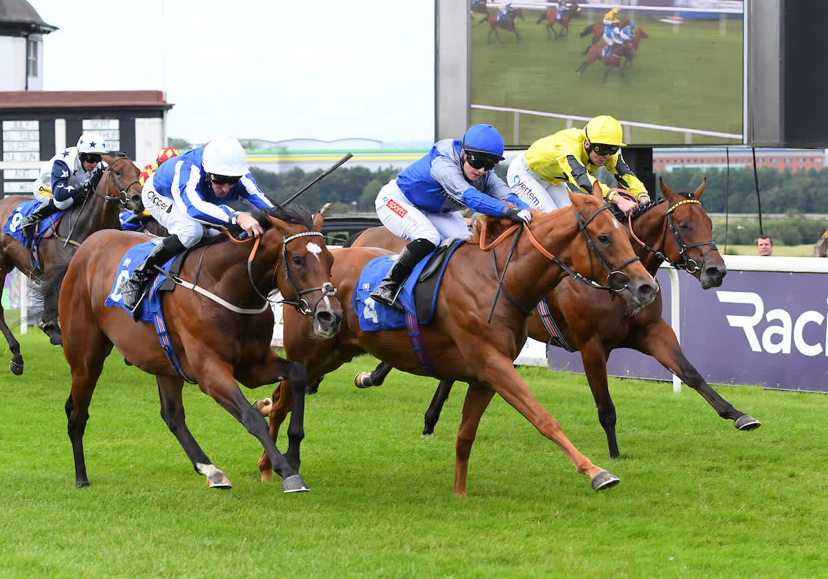 Sky Bet Sunday Series: Pontefract race-by-race guide