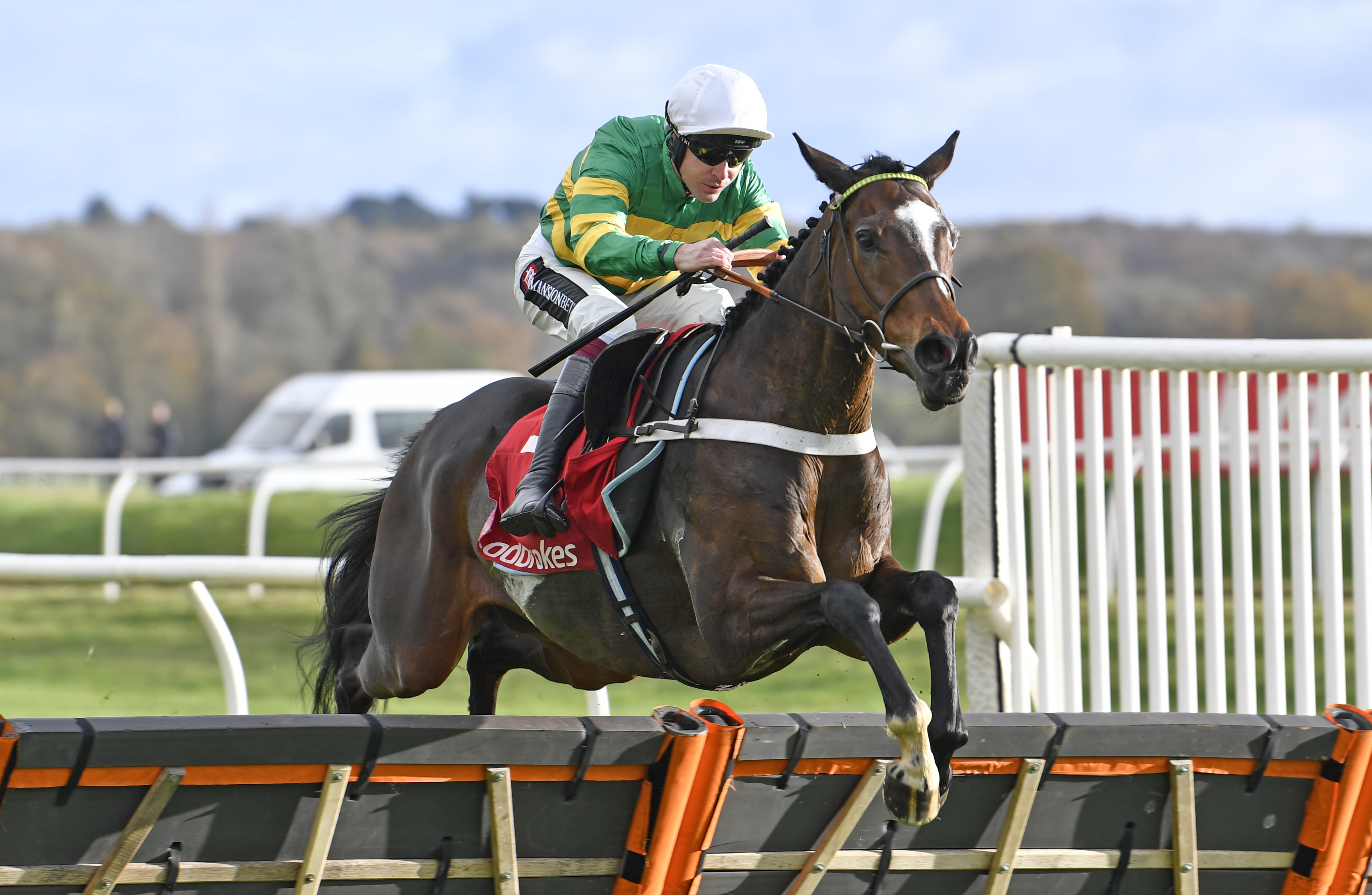 Jonbon is a best-priced 3-1 for the Supreme Novices' Hurdle (Pic: Focusonracing)