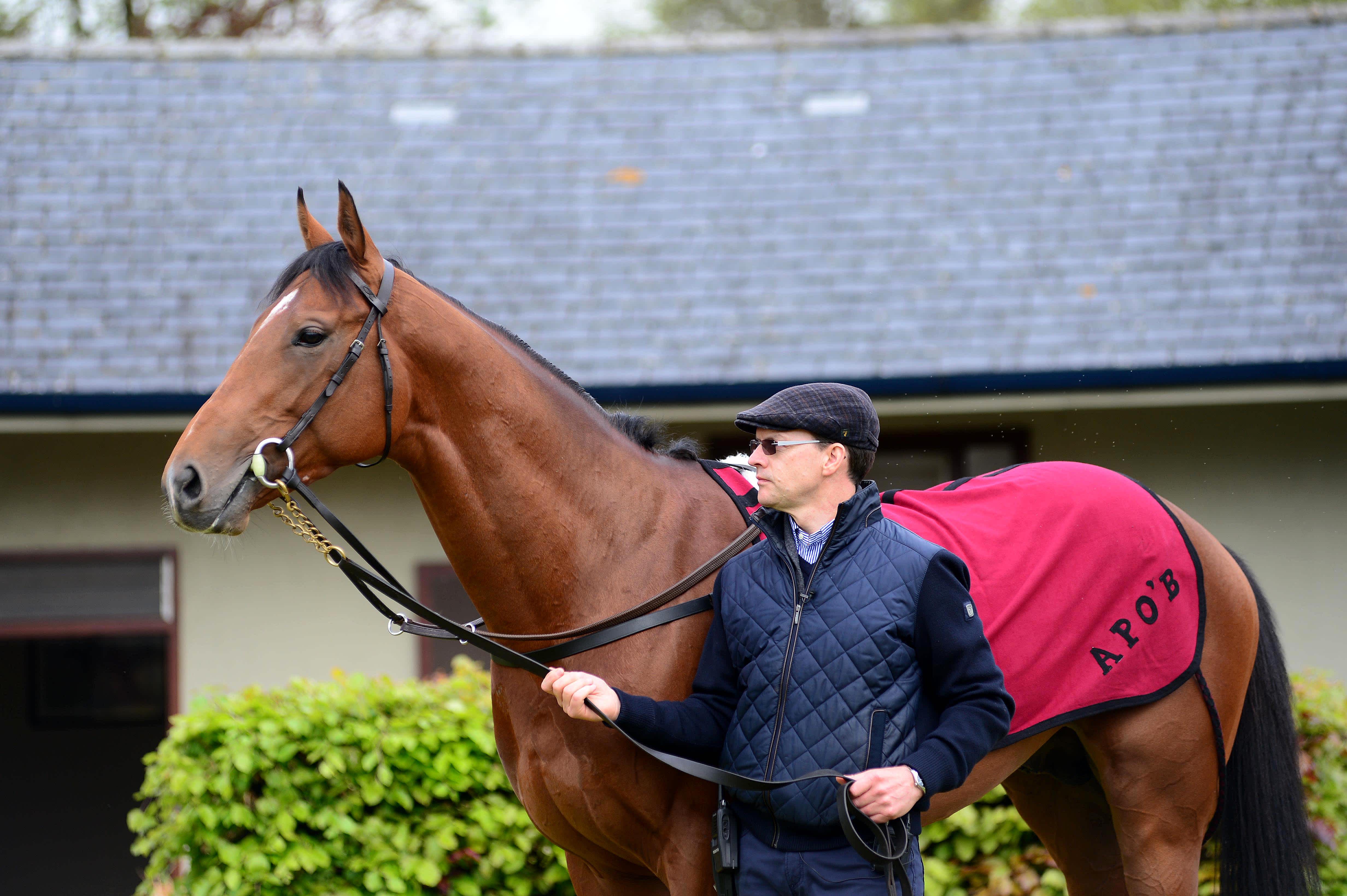 Aidan O’Brien the man, his methods, his beliefs, the Derby and his horses