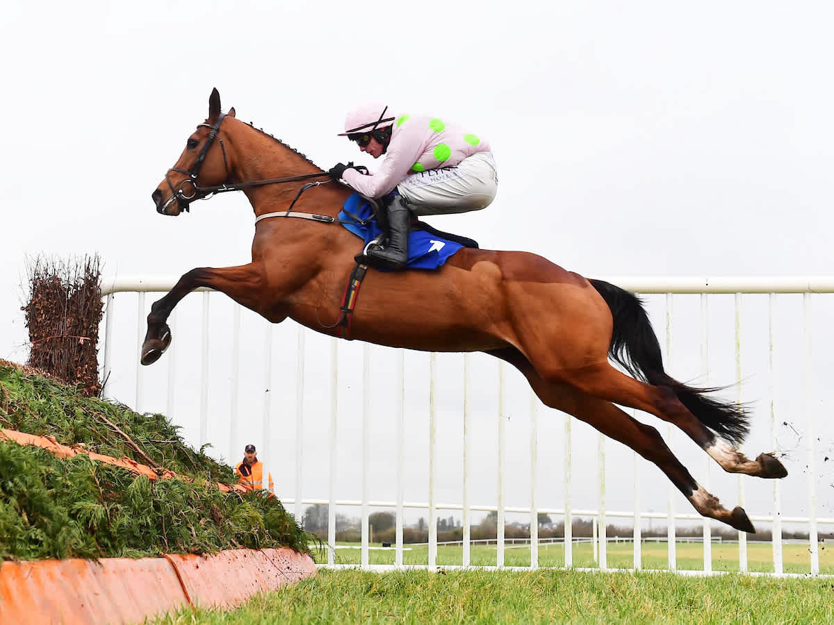 Road To Cheltenham Time right to move for Arkle fancy at 201