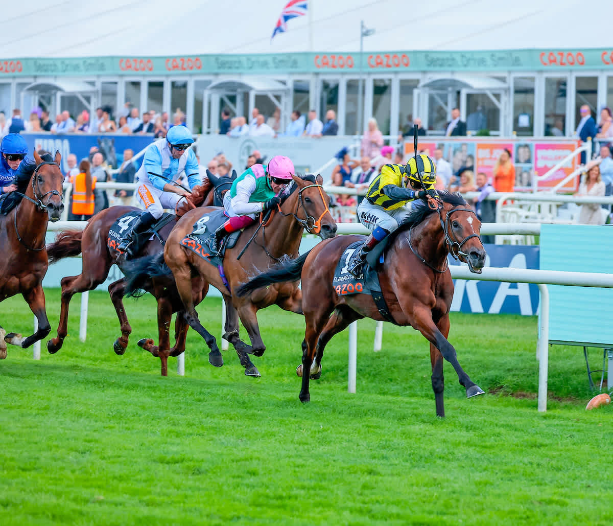 Beckett Confirms Intention To Appeal Haskoy s St Leger Demotion beckett-confirms-intention-to-appeal-haskoy-s-st-leger-demotion