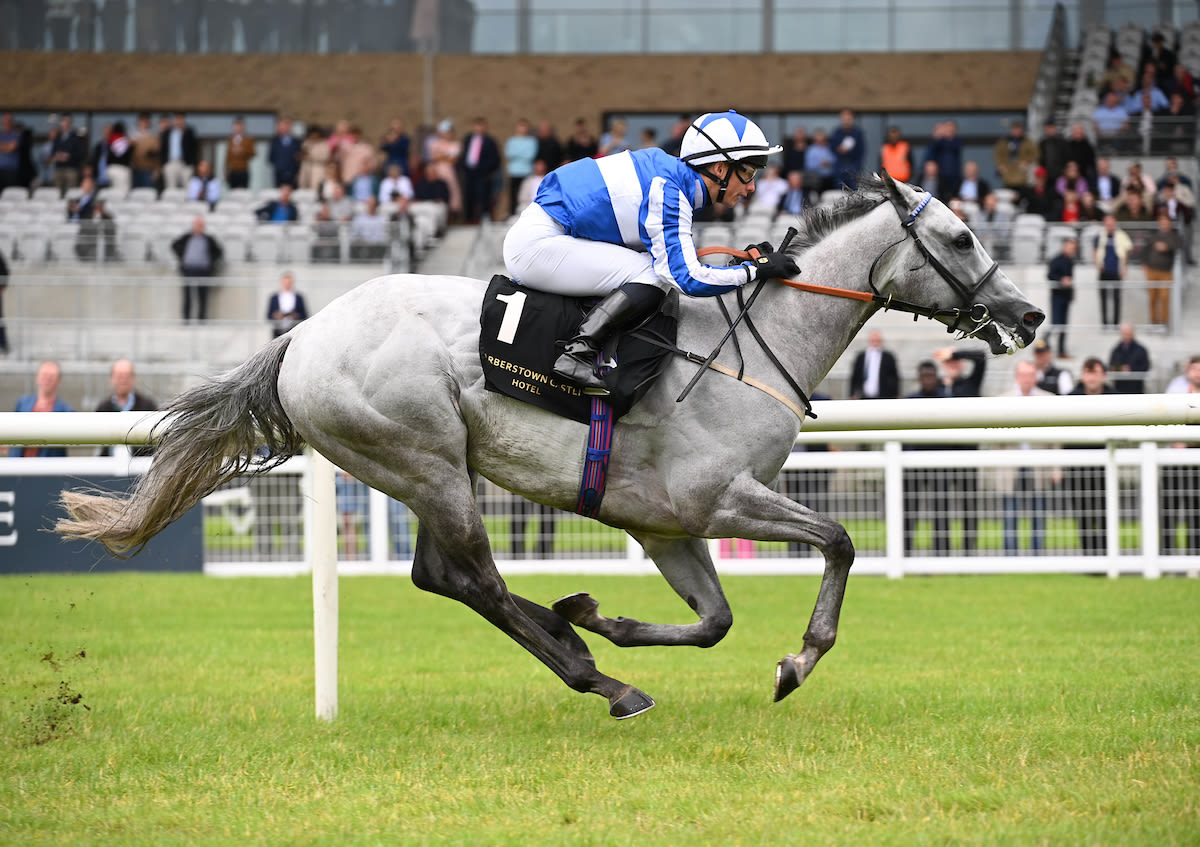 The Curragh sprint king! Art Power streaks clear in Sapphire