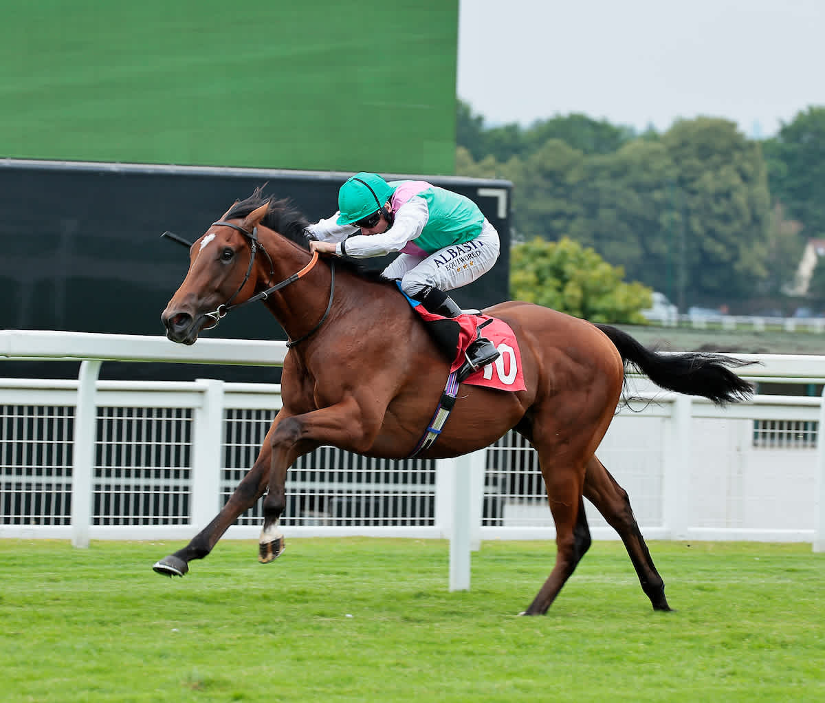 Saturday tips Five key horses to follow on Racing TV