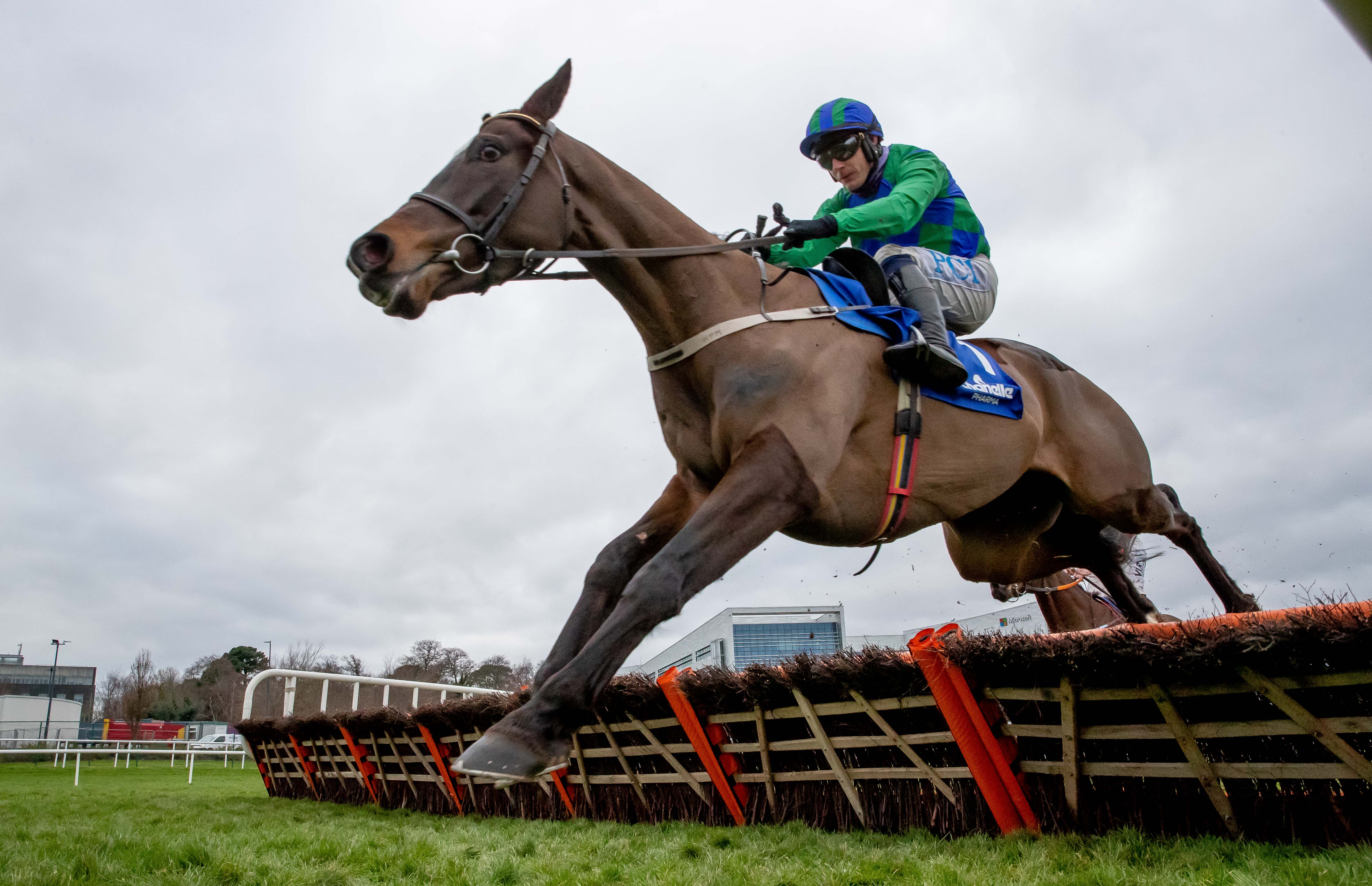  Appreciate It is to stay over hurdles (Credit: Inpho Sports, Horse Racing Ireland)