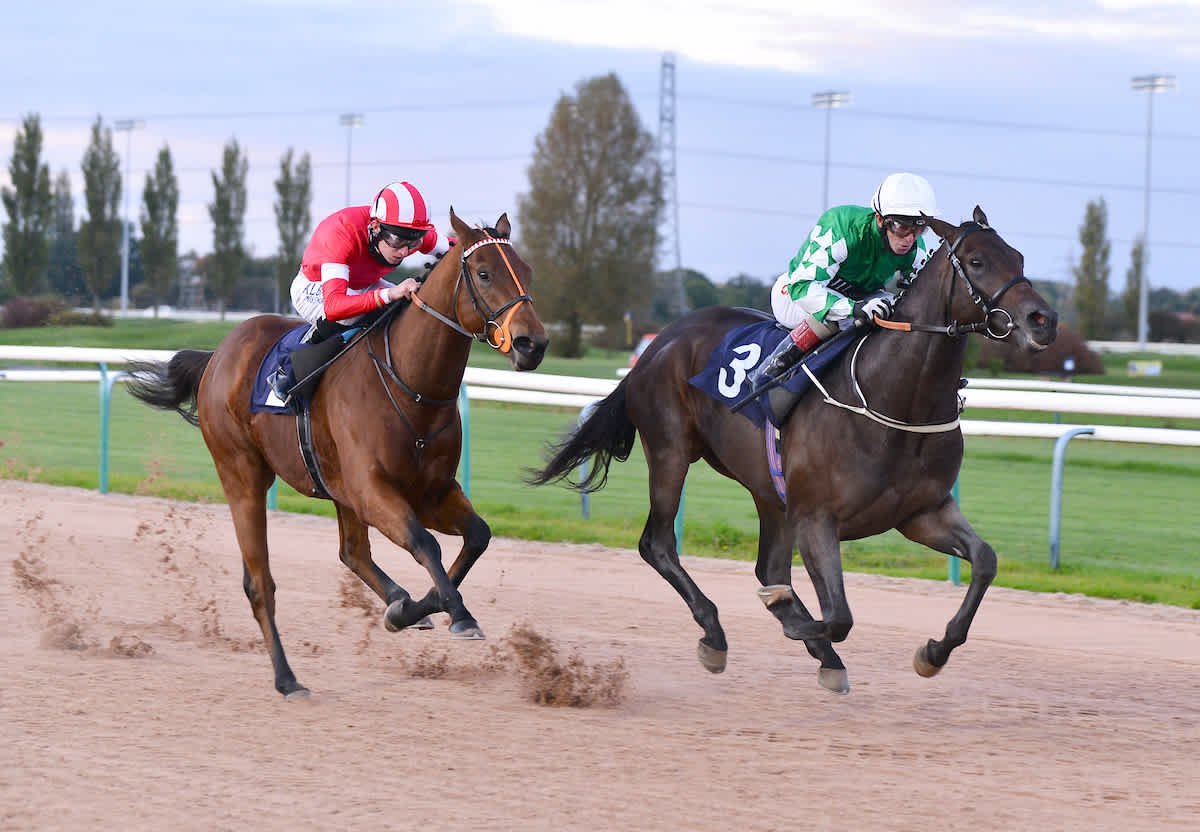Dave Nevison Reveals His 3 Best Horse Racing Picks For Tuesday Dont Miss It - cw19cer