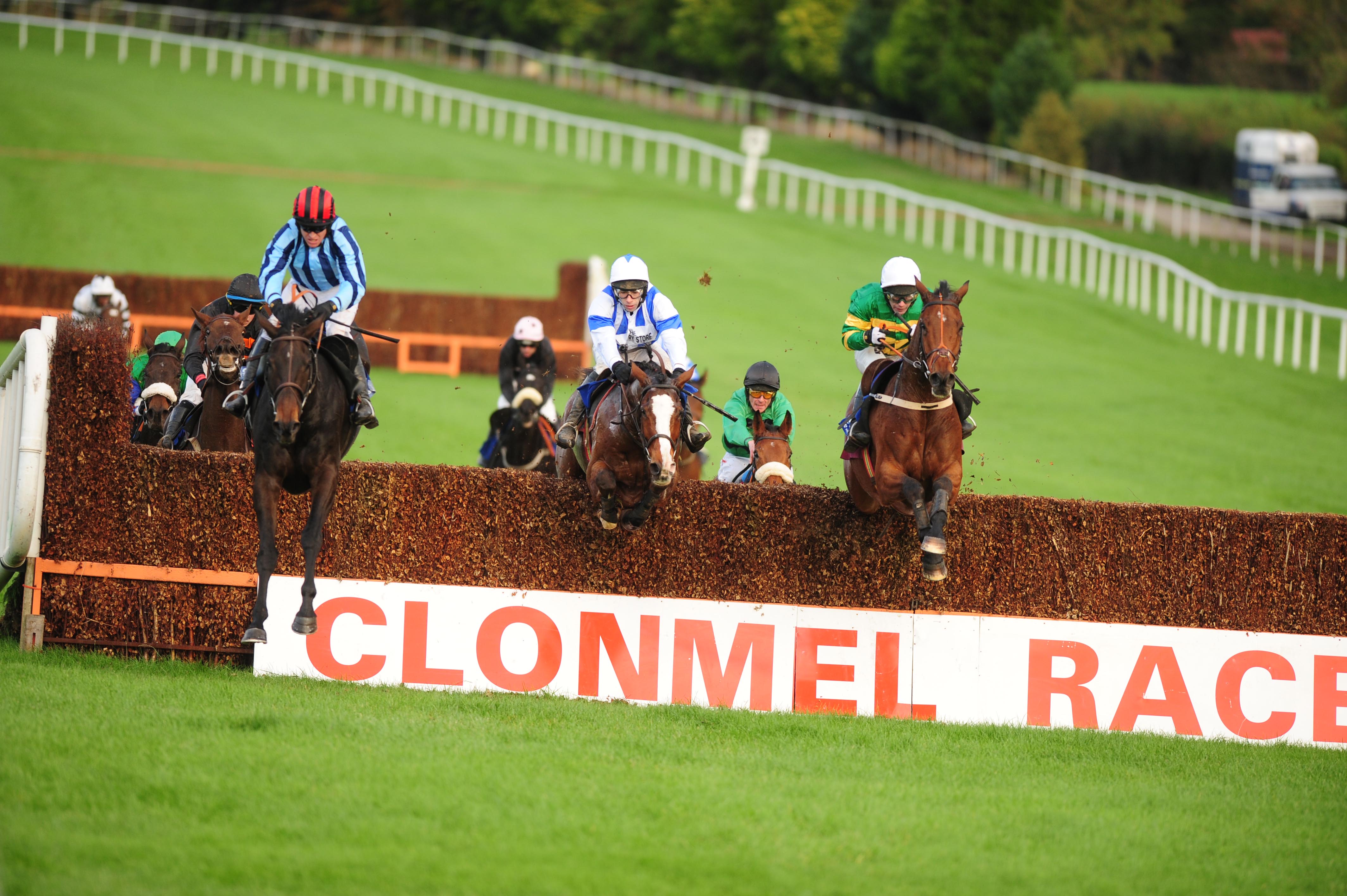 Clonmel Racecourse: Today's Results & Betting