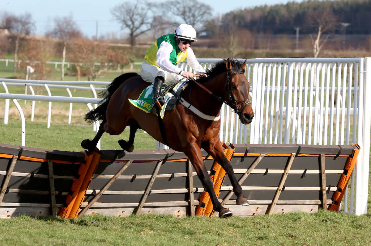 Dave Nevisons Winning Formula 3 Unbeatable Horse Racing Picks For Tuesday - knn3m3o