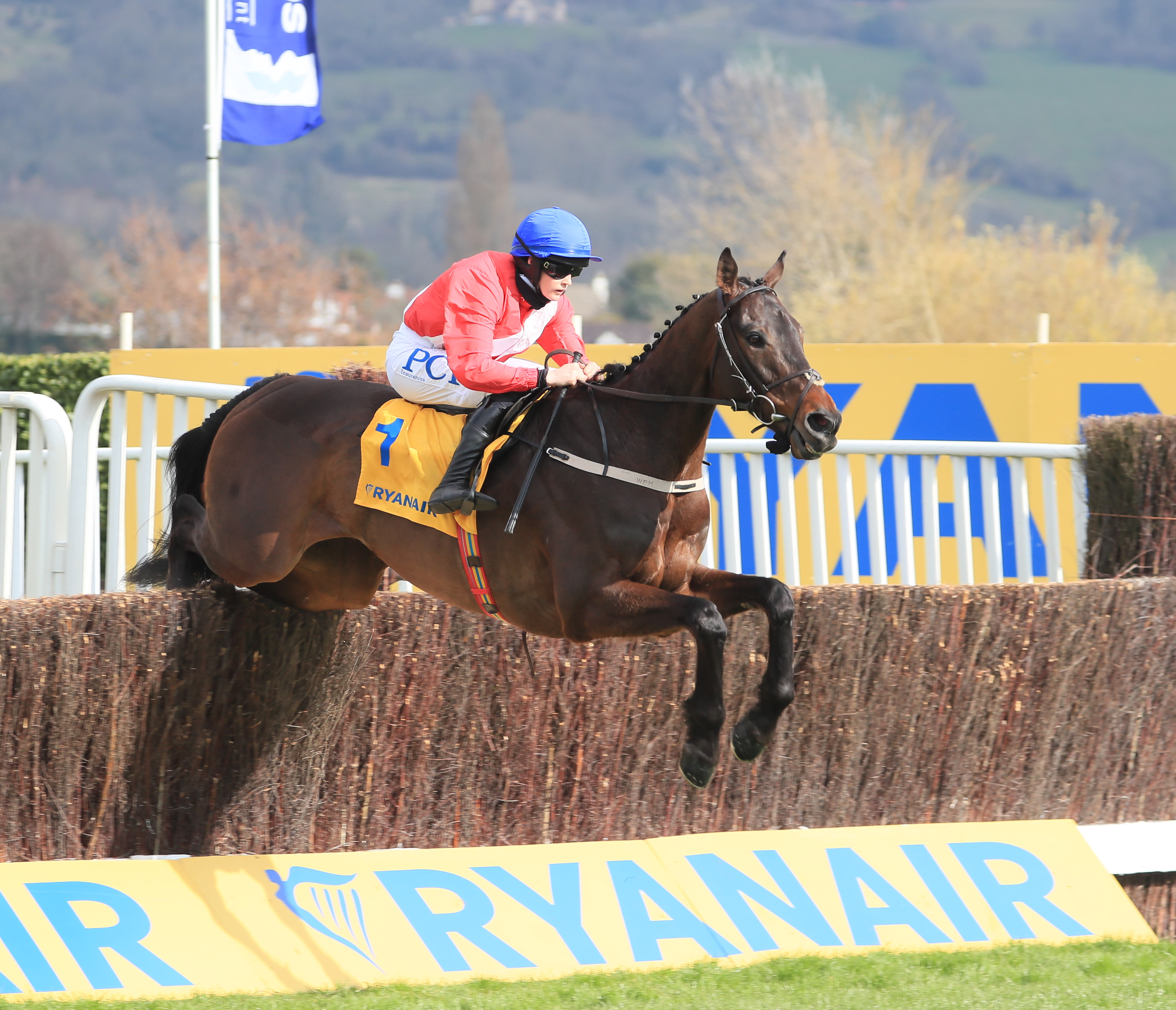 Allaho stunned his rivals with a 12-length victory in last year's Ryanair Chase (Pic: Focusonracing)