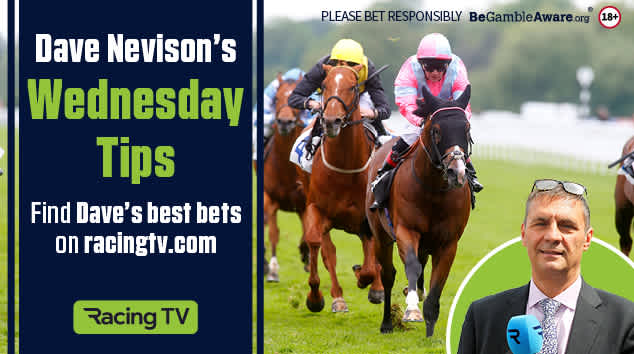 dave nevison tips today