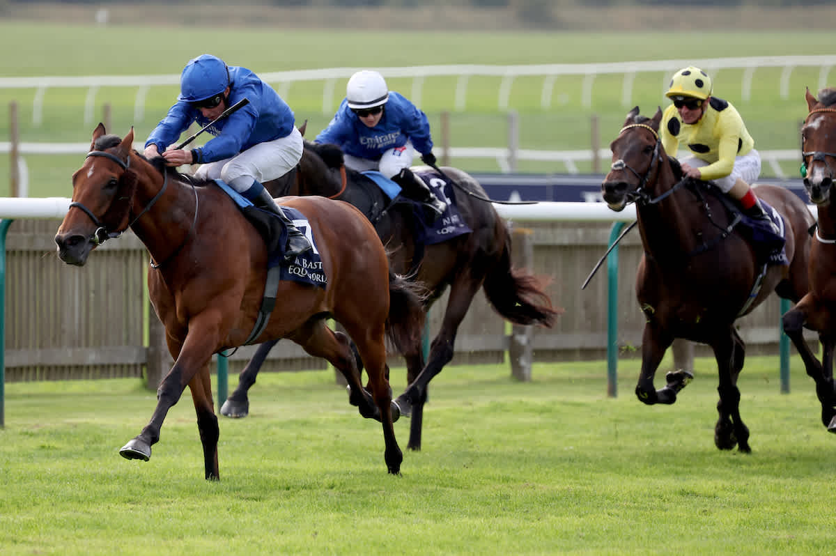 Horse racing tips Dave Nevison's best bets for Saturday
