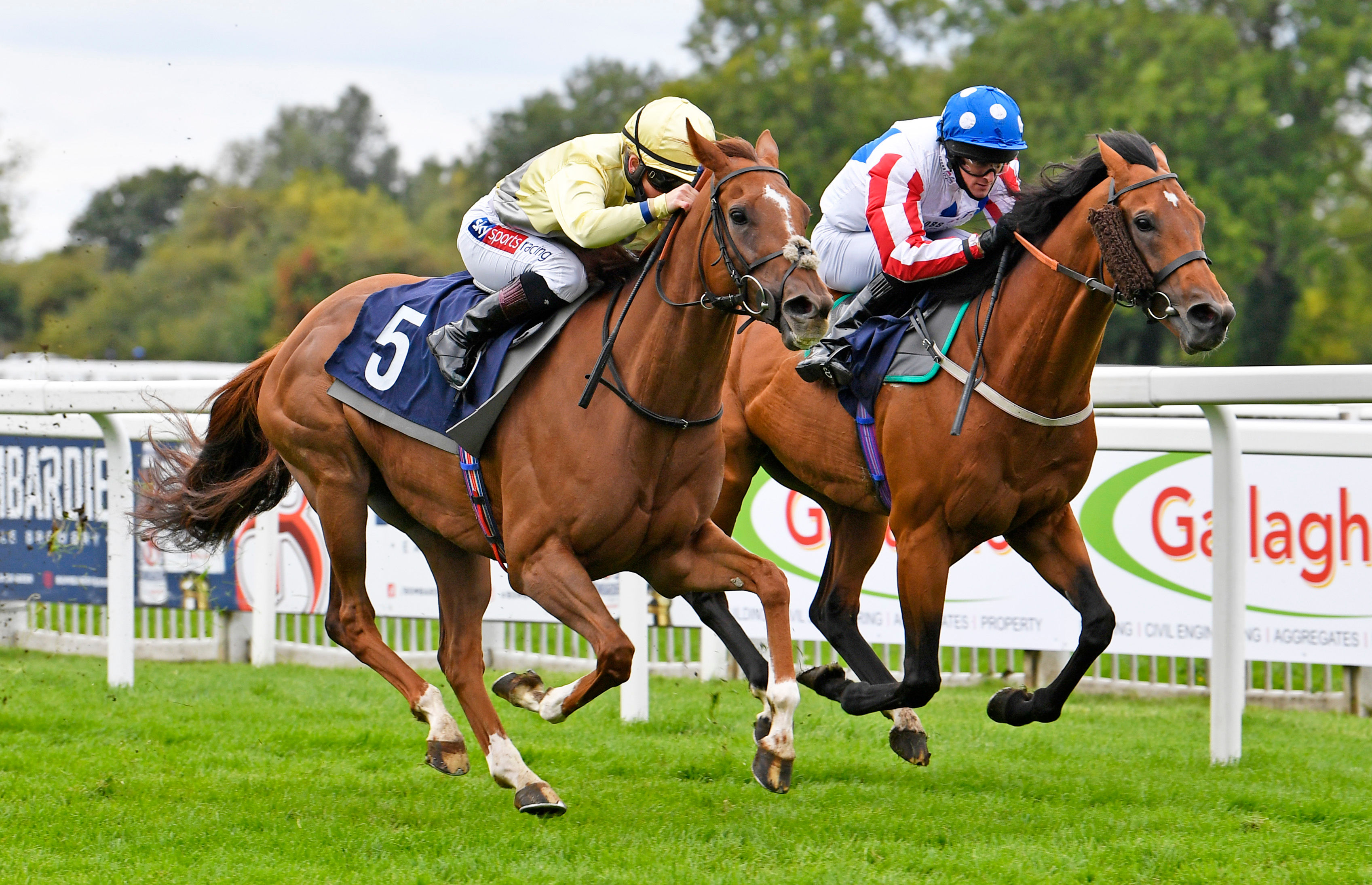 In Form Hollie Doyle Creates History With 899 1 Five Timer At Windsor