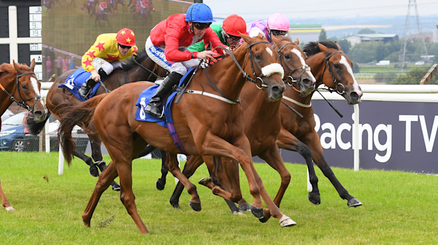 The Latest Horse Racing News Results From Racing Tv