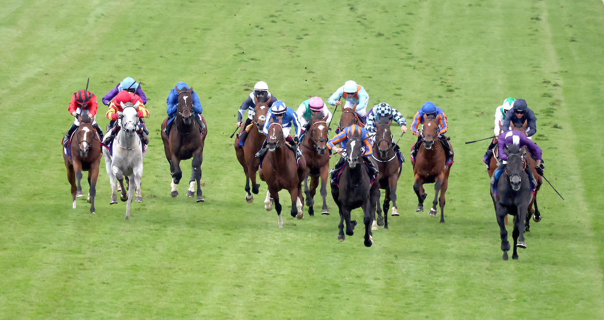  The Derby runners charge towards the finish (focusonracing.com)