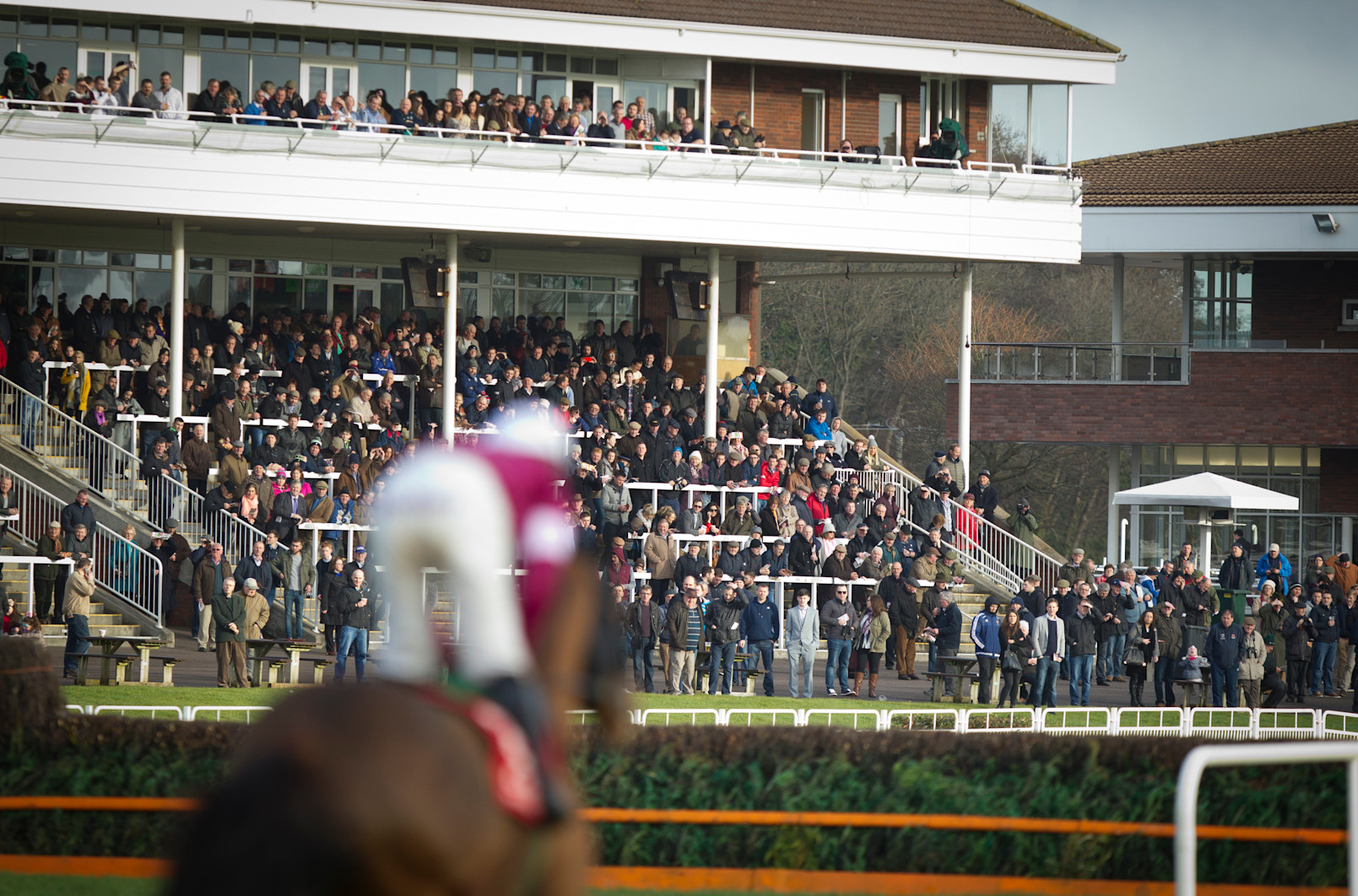 Cork Racecourse Today's Results & Betting