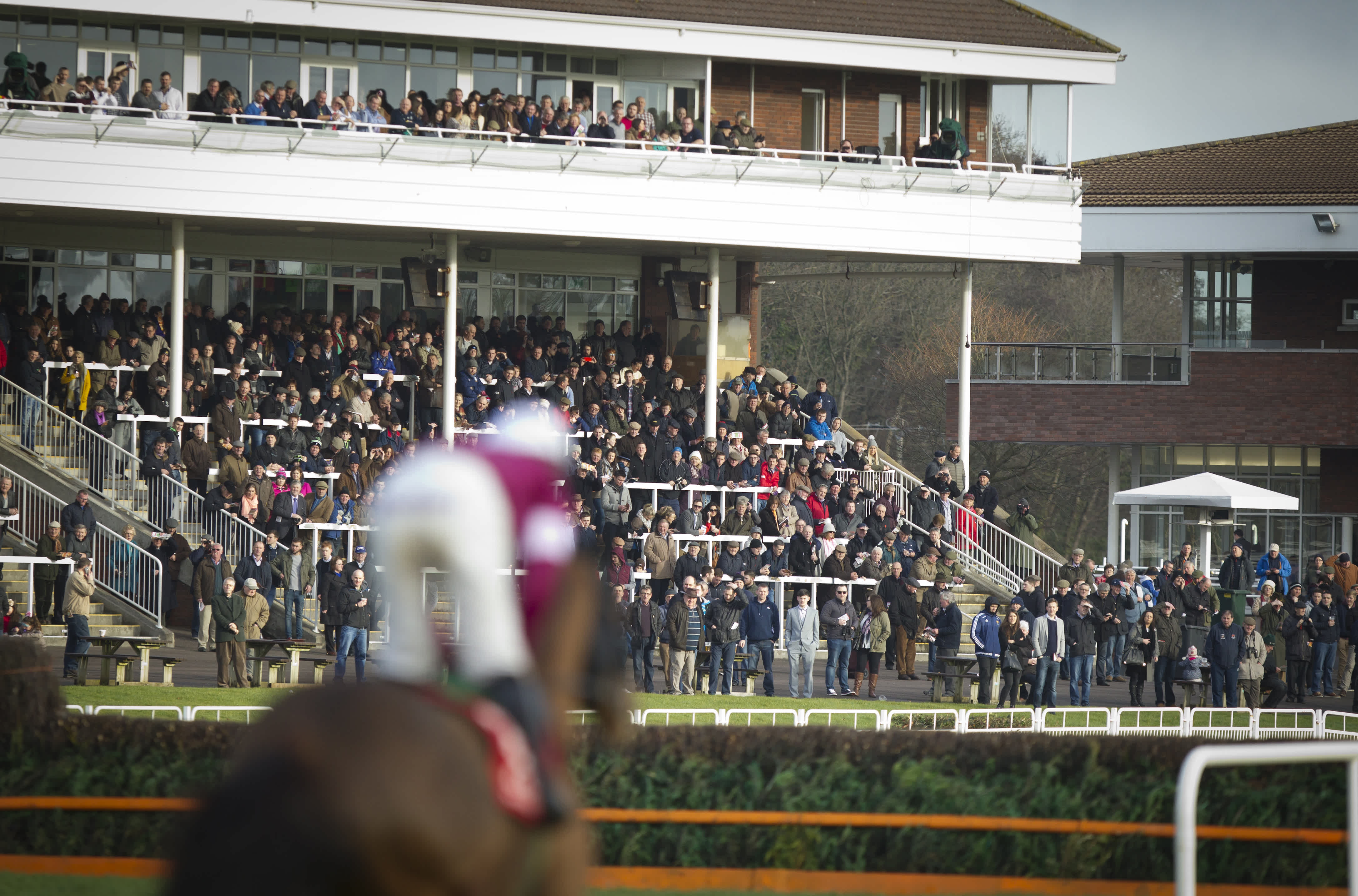 Racecard: Sign Up to Our Newsletter Handicap