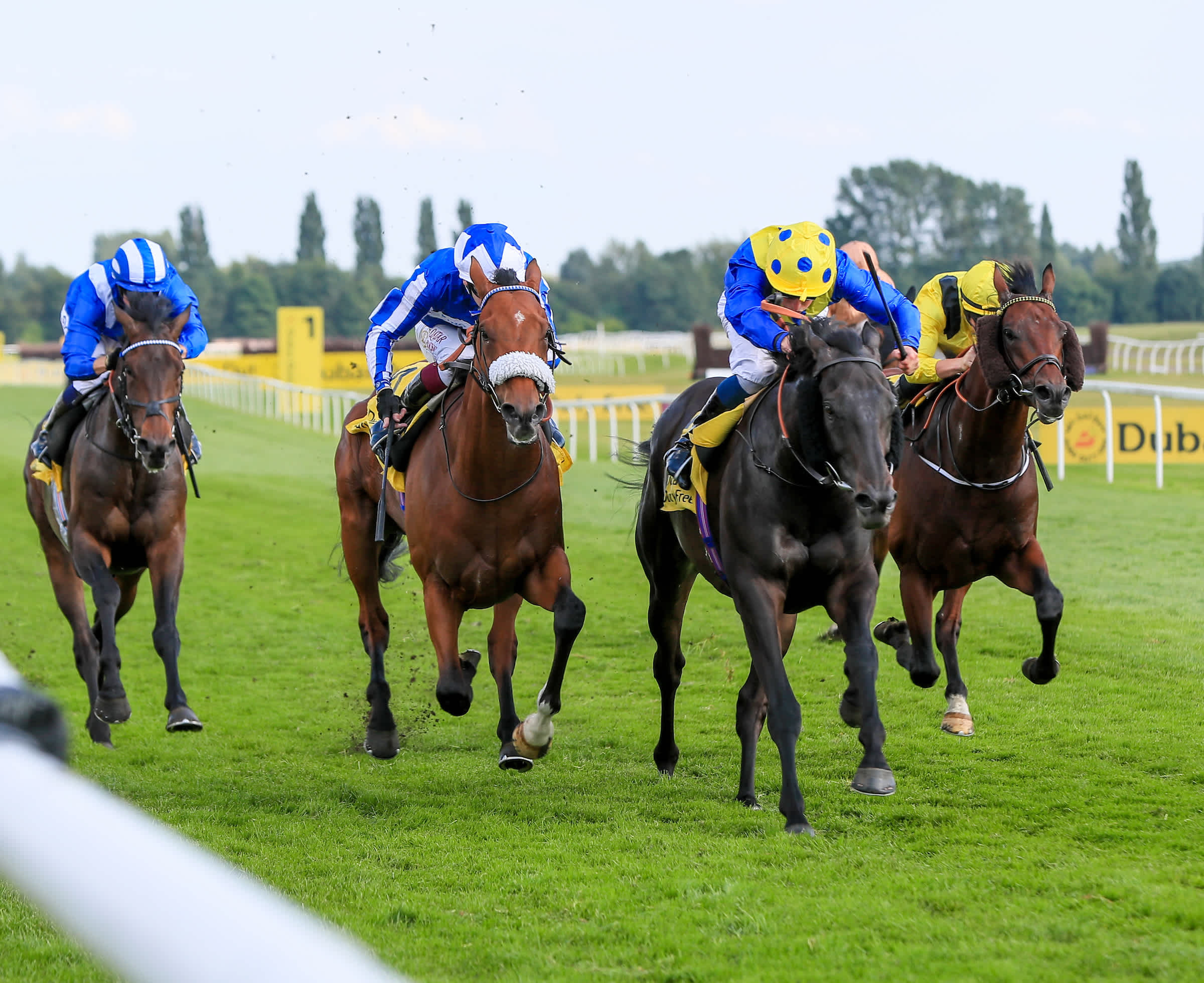 Saturday horse racing tips four best bets from Dave Nevison