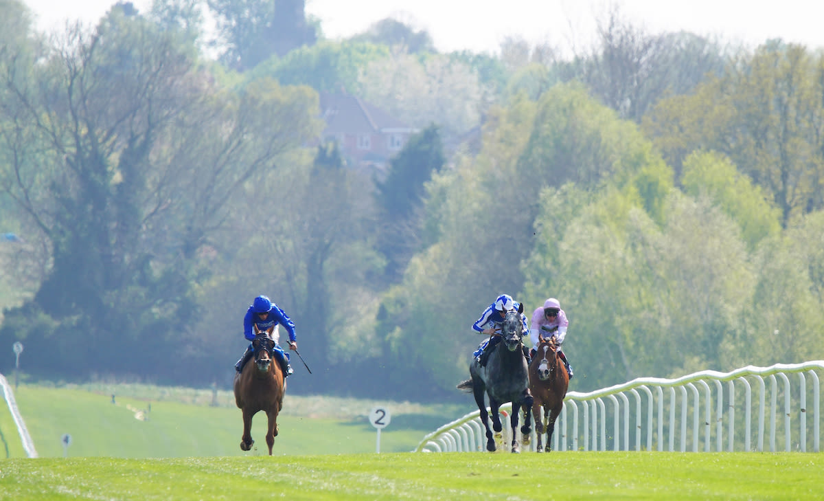  Happy Power wins the King Richard III Stakes earlier this year (Photo: Tony Knapton / focusonracing.com)