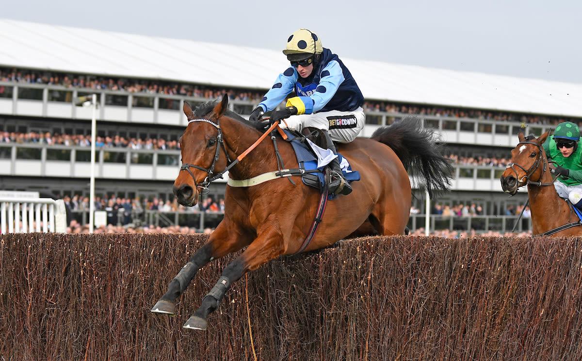  Edwardstone jumps to victory in last year's race (Pic: Focusornacing)