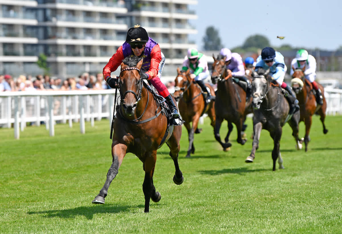a guide to the Royal runners at Royal Ascot