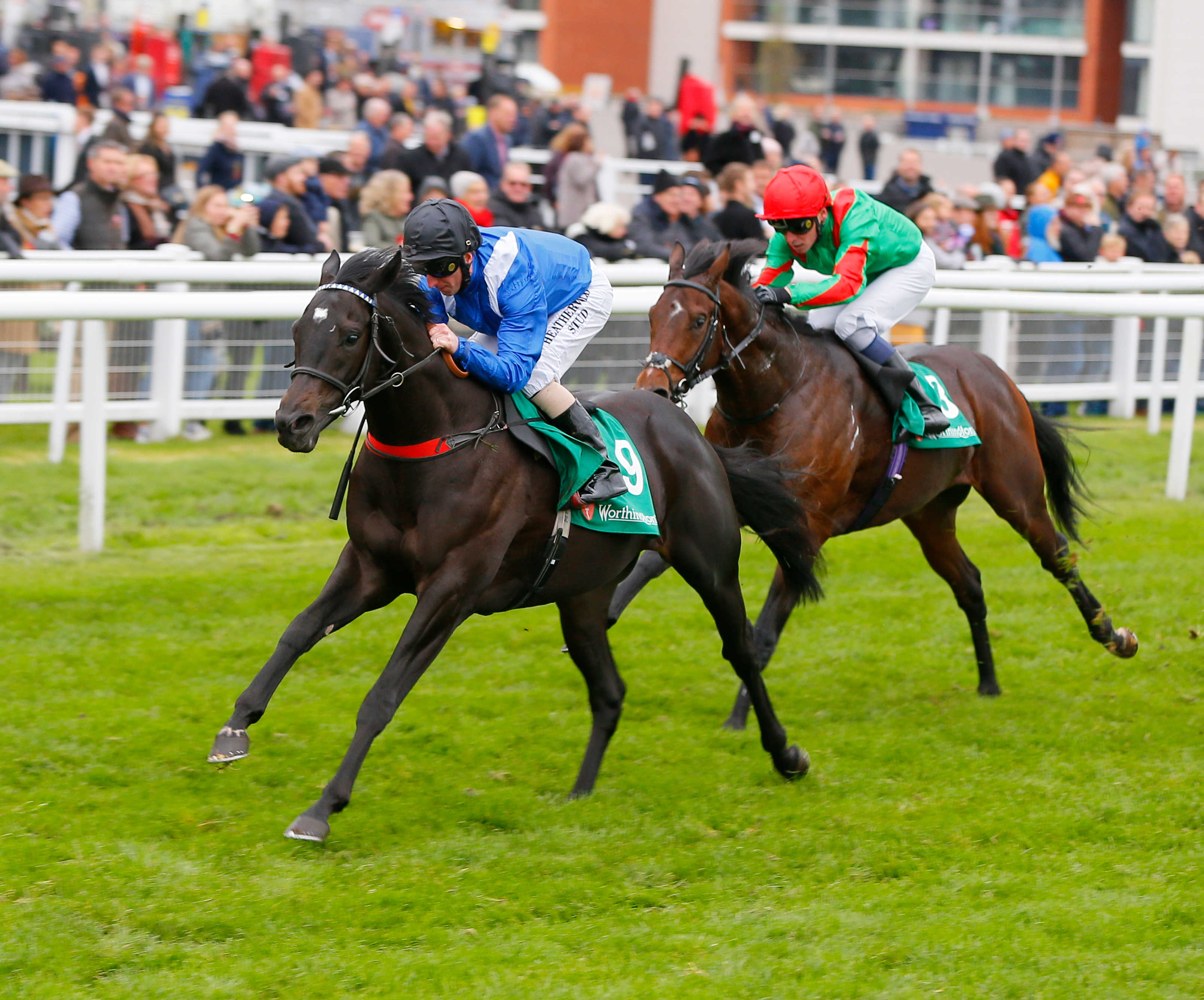 Racing TV presenters and pundits pick their horses to follow for the