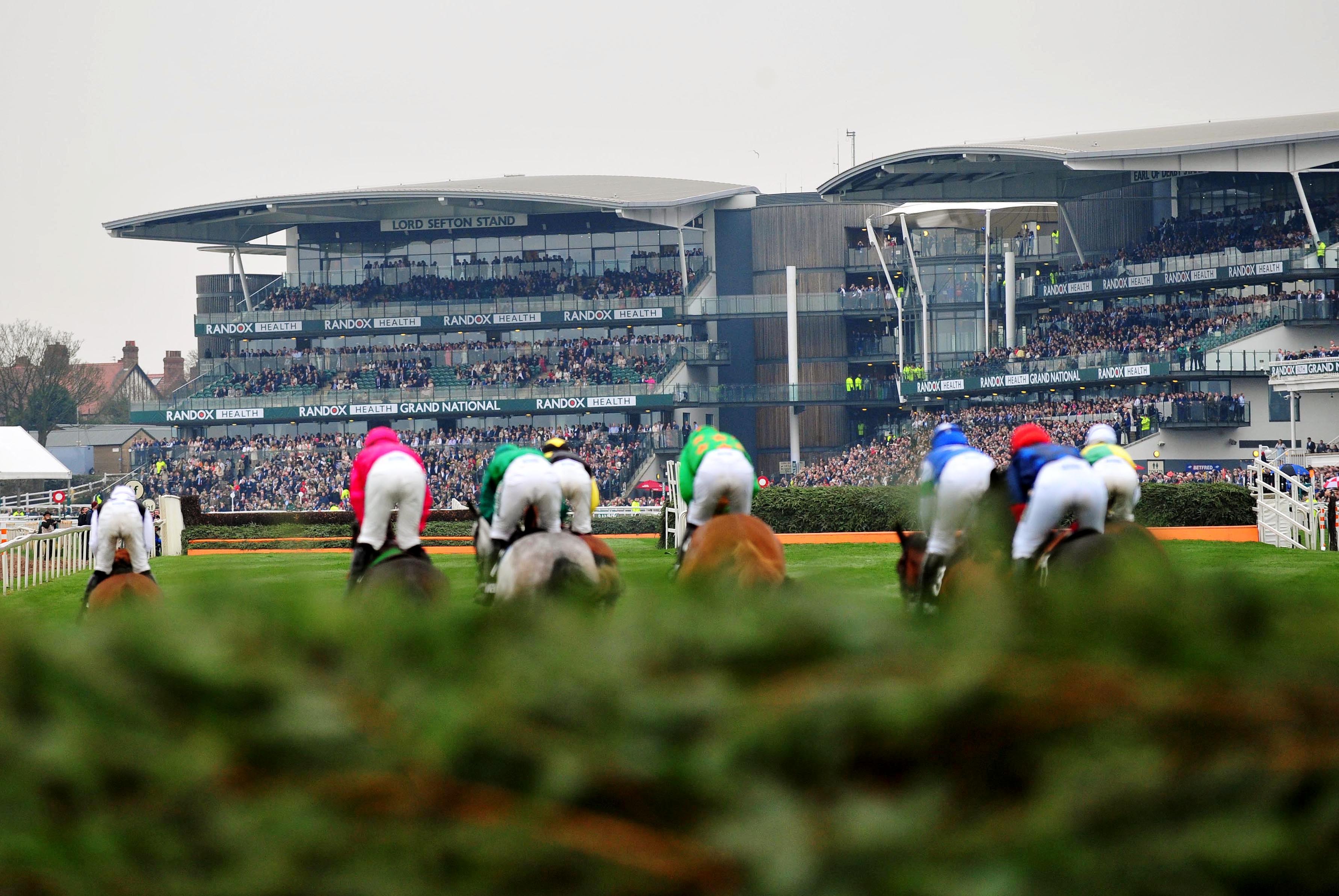 Watch Live Horse Racing From The Racing TV Stream