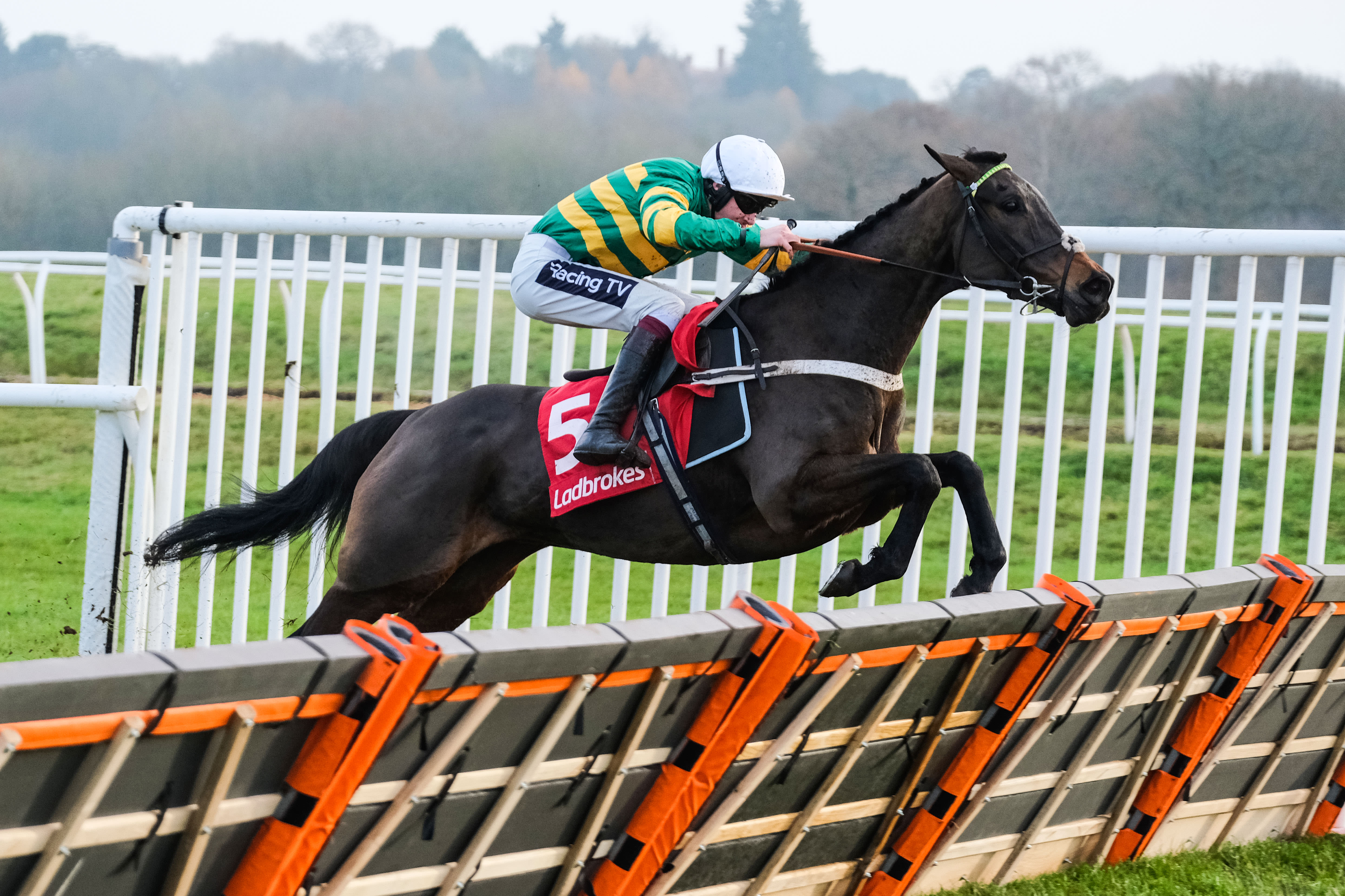 Epatante heads final field of seven for the Fighting Fifth Hurdle