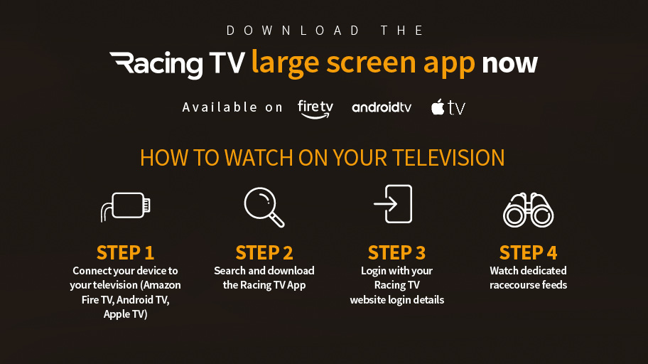 Large screen app instructions