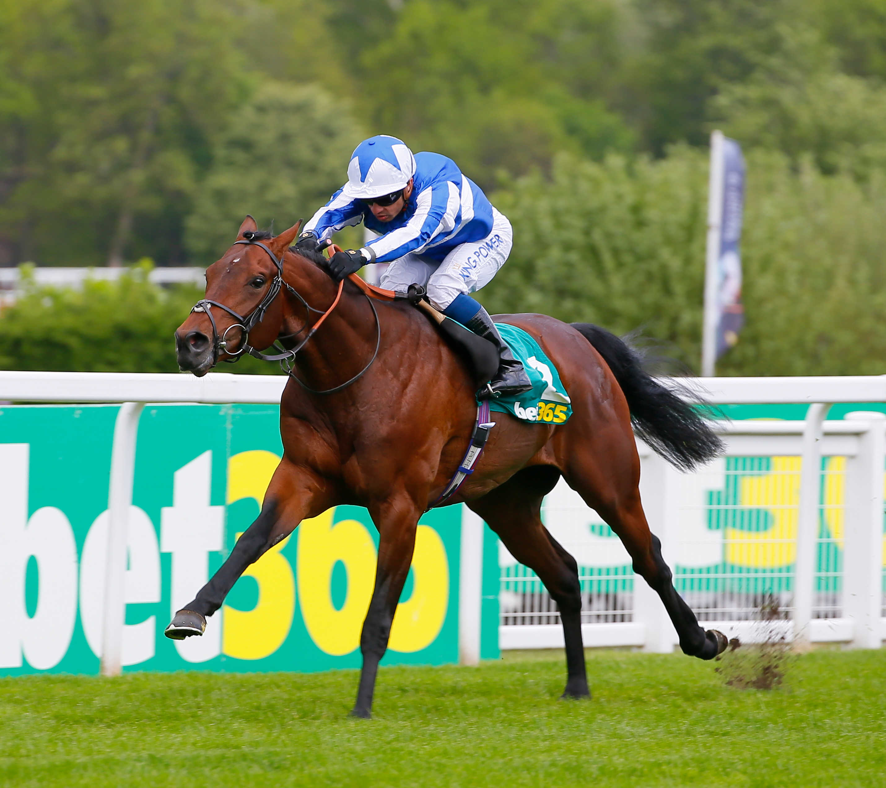 Rachel Candelora and Eddie Fremantle reveal their Flat horses to follow